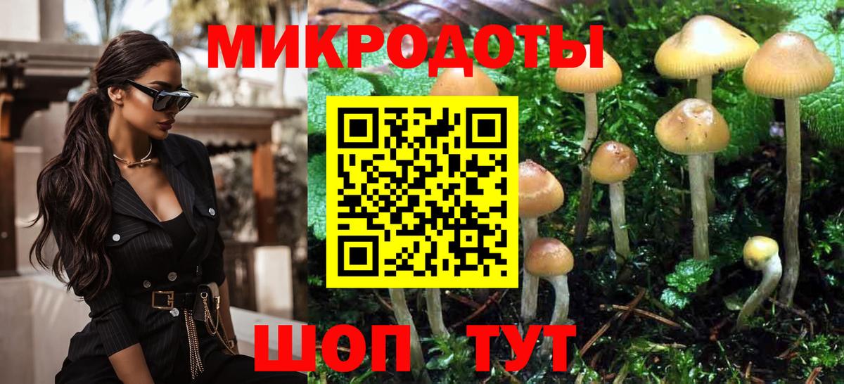 Галлюциногенные грибы Psilocybe  Вход с VPN  Ногинск 