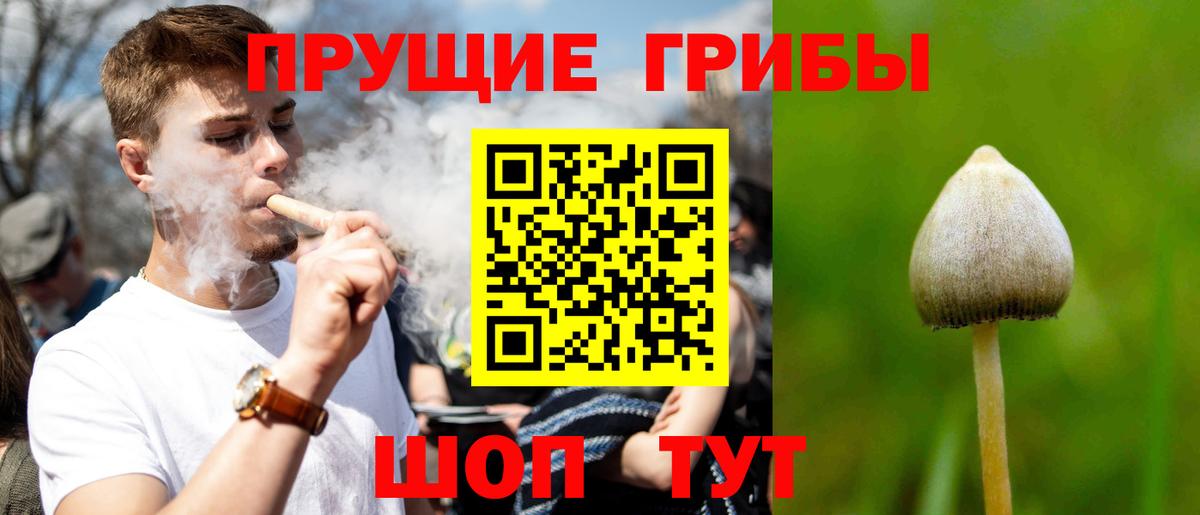 Где купить наркотики?  COCAIN  Ногинск  Конопля  Лсд 25  МЕФ кристаллы  Гашиш  Бошки Шишки  Вход с VPN 